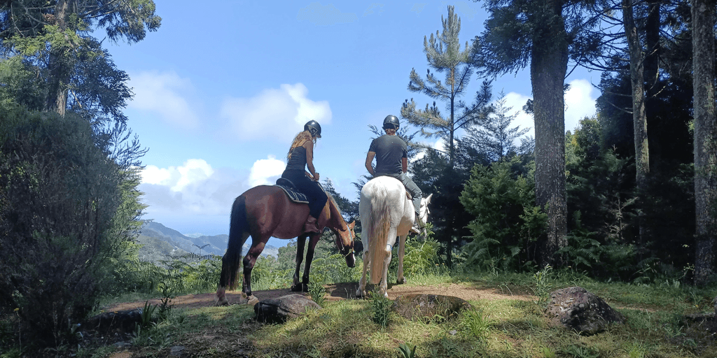 Two people horseback riding through a lush green forest trail with a scenic mountain view in the background, capturing a peaceful outdoor adventure.