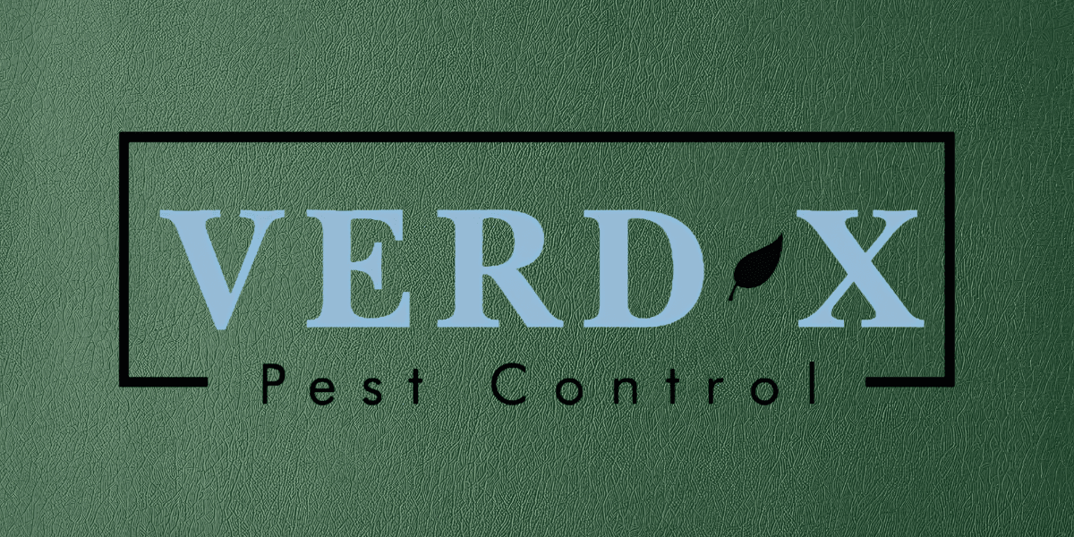 Logo for Verd-X Pest Control featuring blue text on a green background
