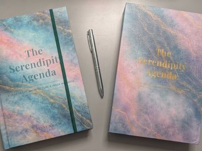 Two editions of The Serendipity Agenda displayed beside a silver pen.