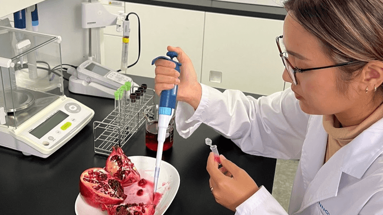 Researcher pipetting fermented pomegranate extract in laboratory to study its potential heart health benefits for women.