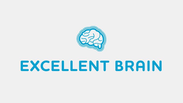 Blue brain logo above “Excellent Brain” text on light gray background.
