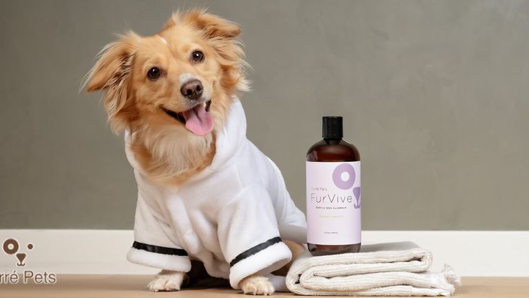 Smiling dog in white robe beside FurVive gentle dog cleanser and folded towel.