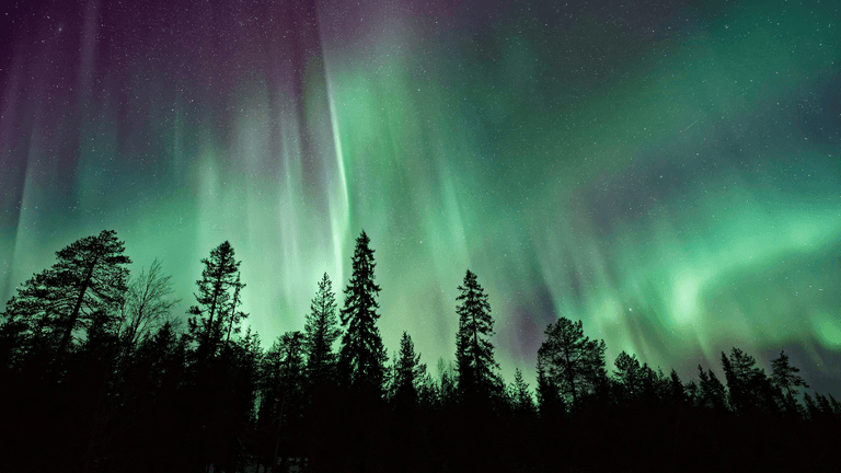U.S. Women Should Know: How to Catch Tonight’s Northern Lights and What It Means for Well-Being