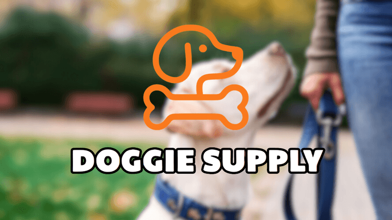 "Kelly Dickey, CEO of Doggie Supply, leading a women-owned business focused on high-quality, affordable dog products with service."