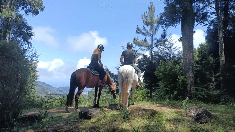 Two people horseback riding through a lush green forest trail with a scenic mountain view in the background, capturing a peaceful outdoor adventure.