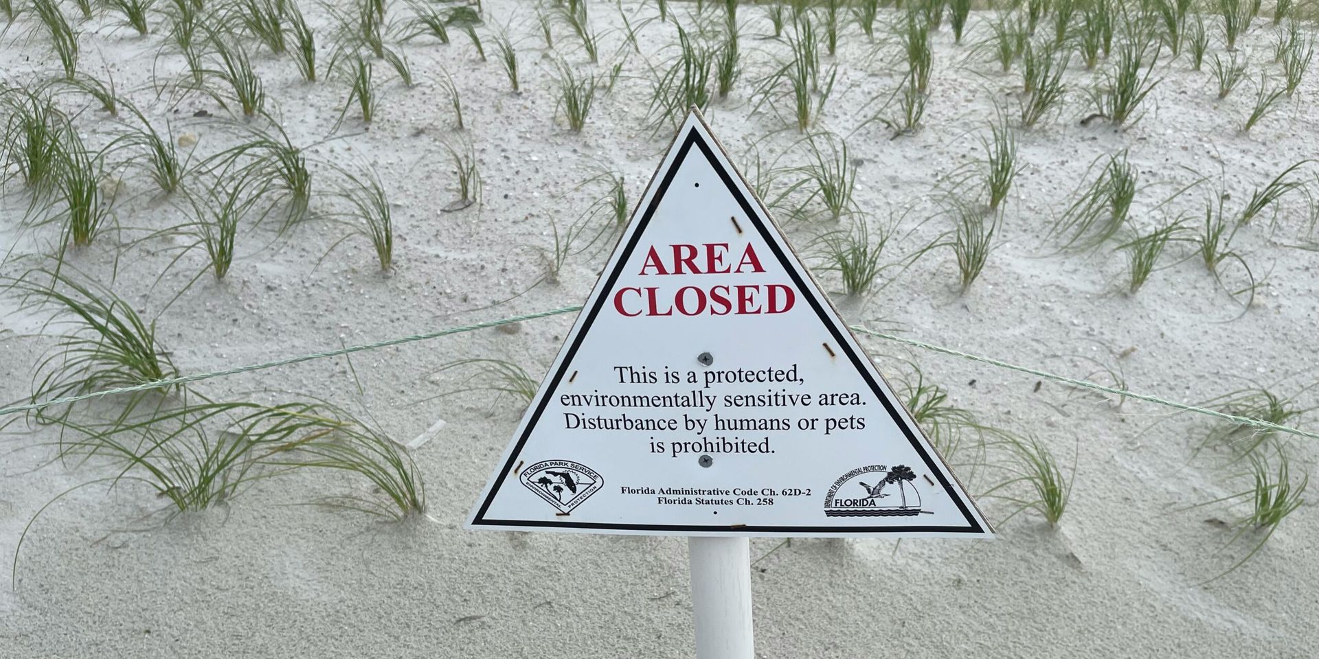 U.S. Beaches Face Closures Ahead of July 4th Due to Elevated Bacteria Levels