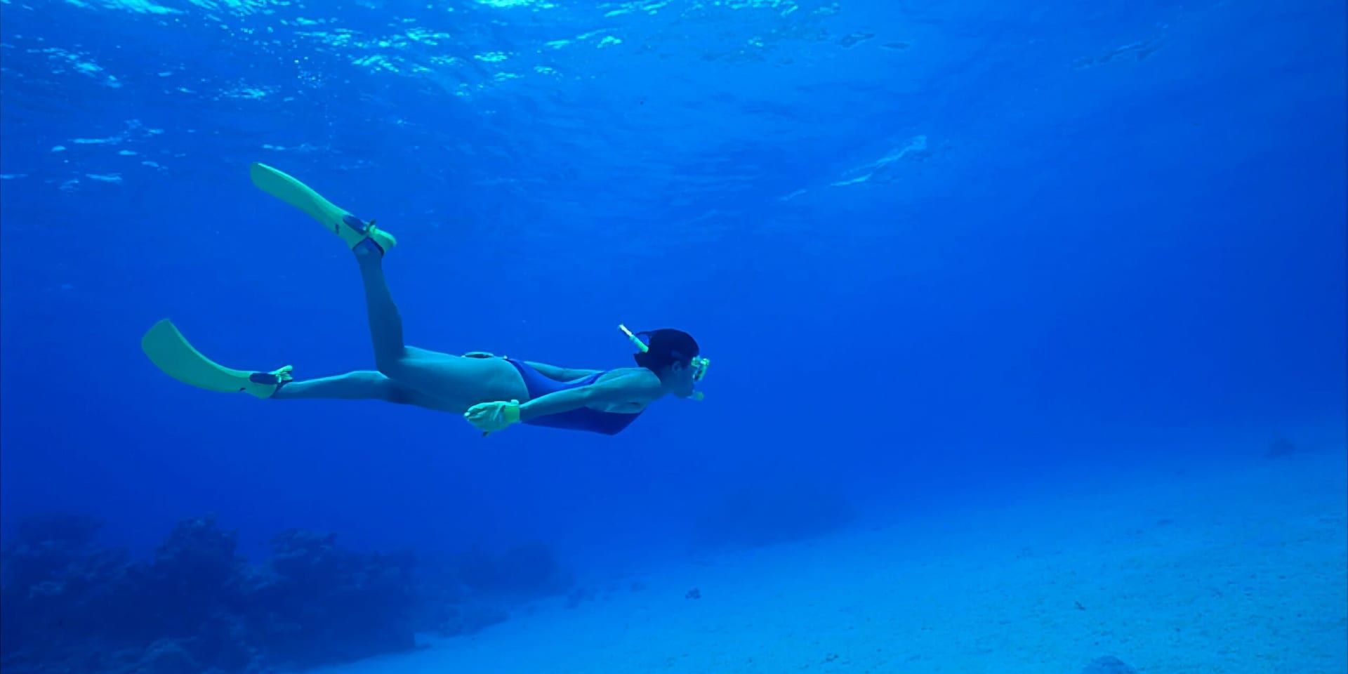 NIH: Open-Ocean Swimming & Mental Well‑Being Highlighted in July Bulletin