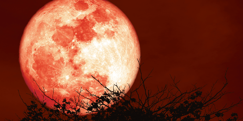 A Rare Blood Moon Lights Up the Sky Across America