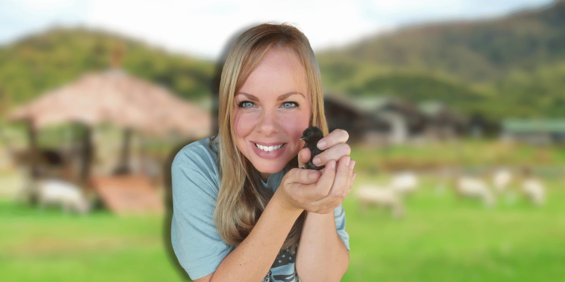 COUNTRY HAVEN FARM LLC