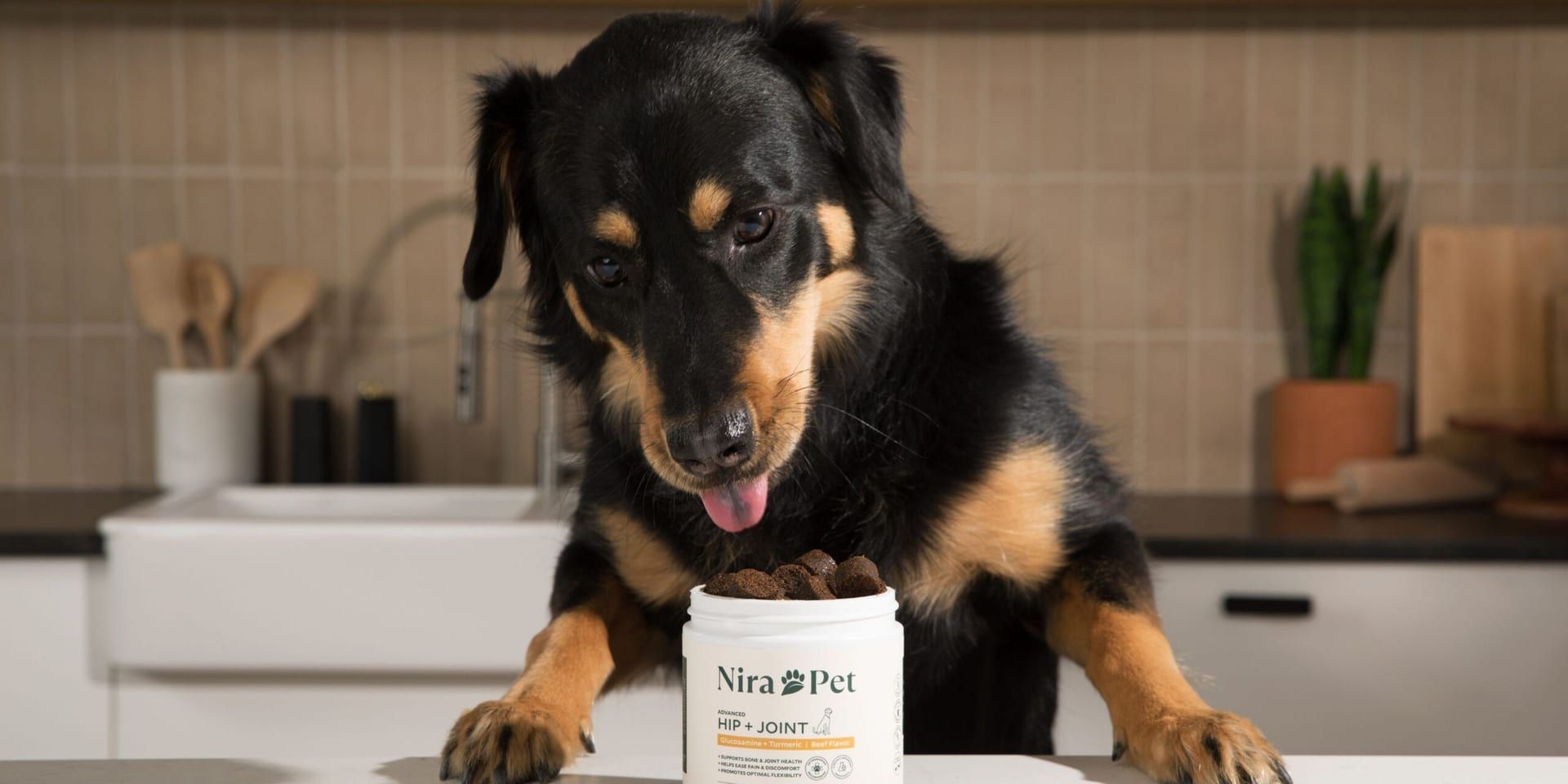 Nira Pet: Advancing Pet Wellness for a Healthier, Happier Life