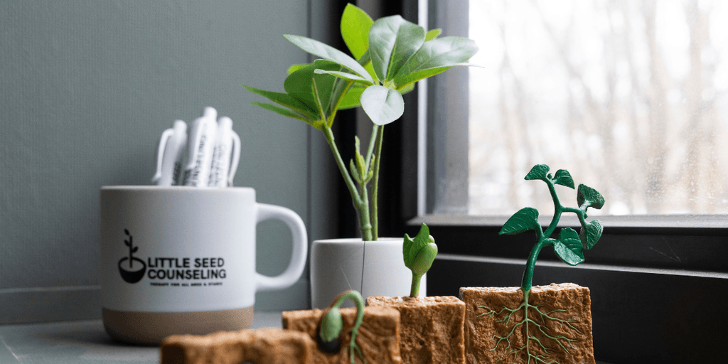Where Difference Is Celebrated: How Little Seed Counseling Is Growing Community