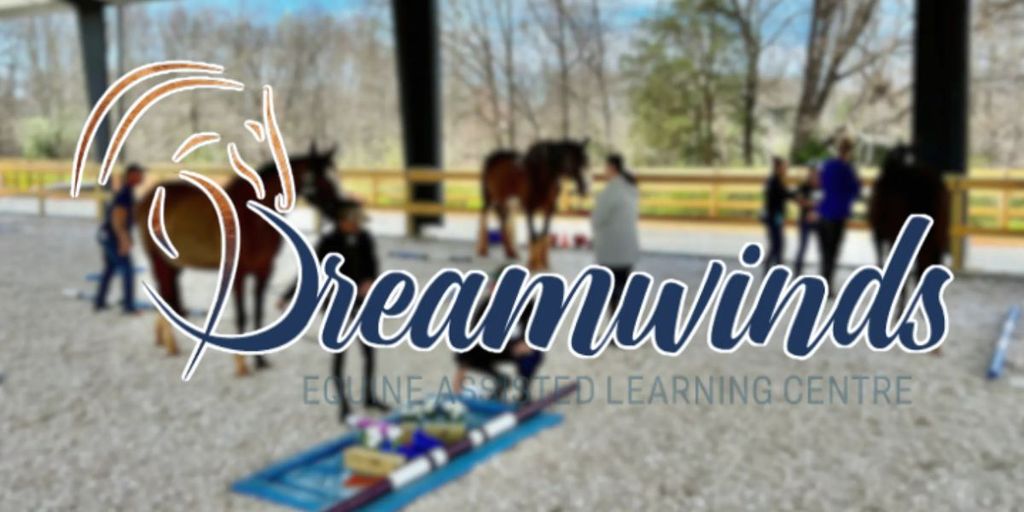 Leading with Clarity: How Dreamwinds Uses Horses to Cultivate Authentic Leadership and Trust