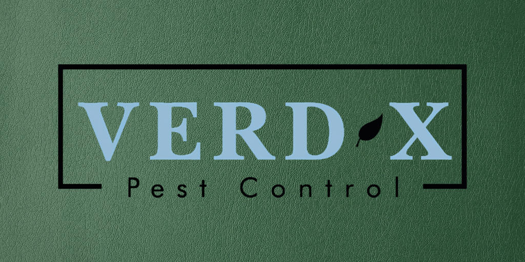 Logo for Verd-X Pest Control featuring blue text on a green background