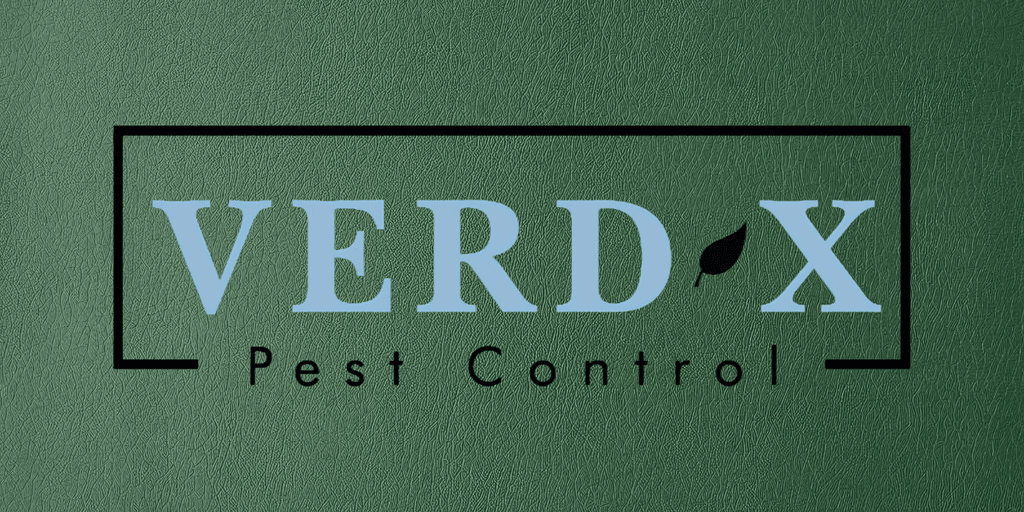 Logo for Verd-X Pest Control featuring blue text on a green background
