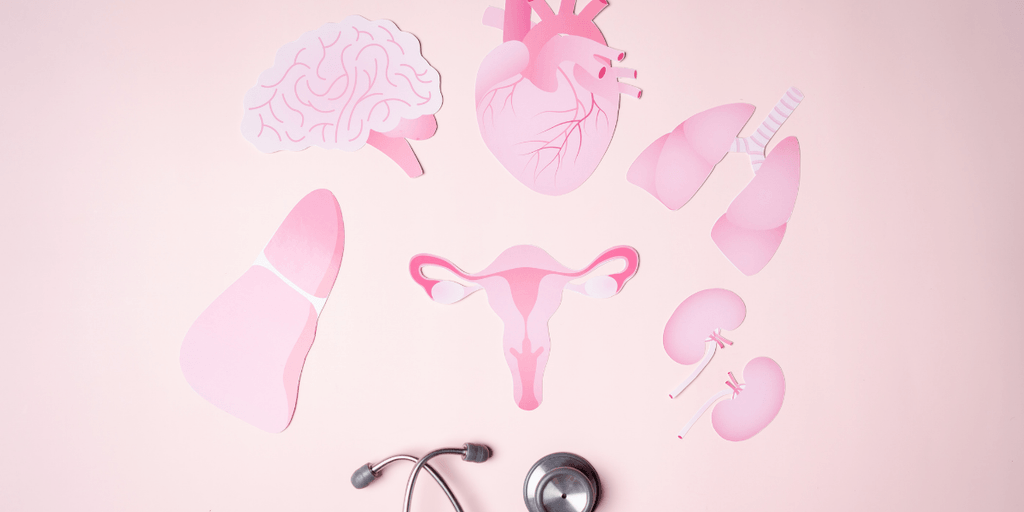 Various pink paper cutouts of human organs arranged on a pastel background with a stethoscope