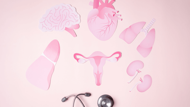 Various pink paper cutouts of human organs arranged on a pastel background with a stethoscope