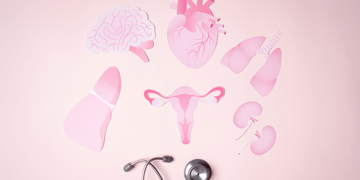 Various pink paper cutouts of human organs arranged on a pastel background with a stethoscope