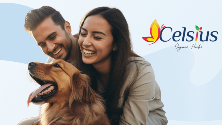 A happy couple sits with a golden retriever against a soft blue background