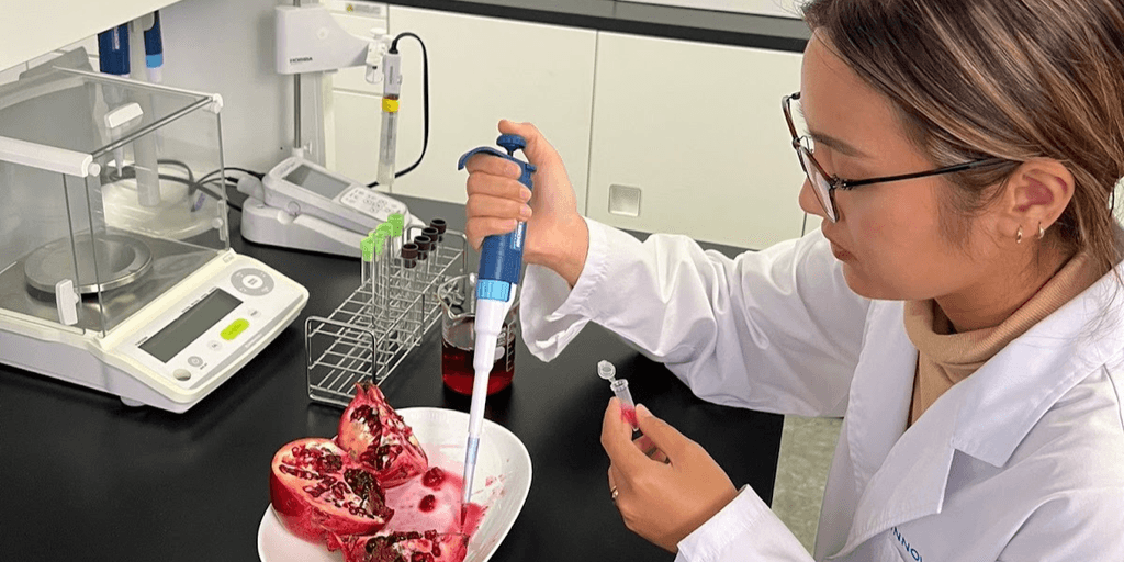 Researcher pipetting fermented pomegranate extract in laboratory to study its potential heart health benefits for women.