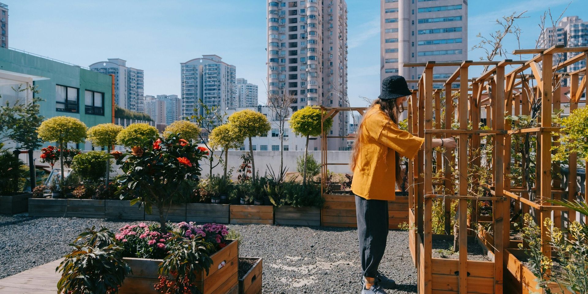 Urban Bee-Keeping on a Balcony: A Beginner’s Guide