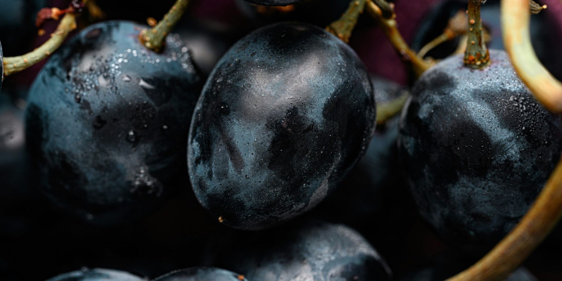 Prunes: The Unexpected Beauty Superfood for Stronger Bones