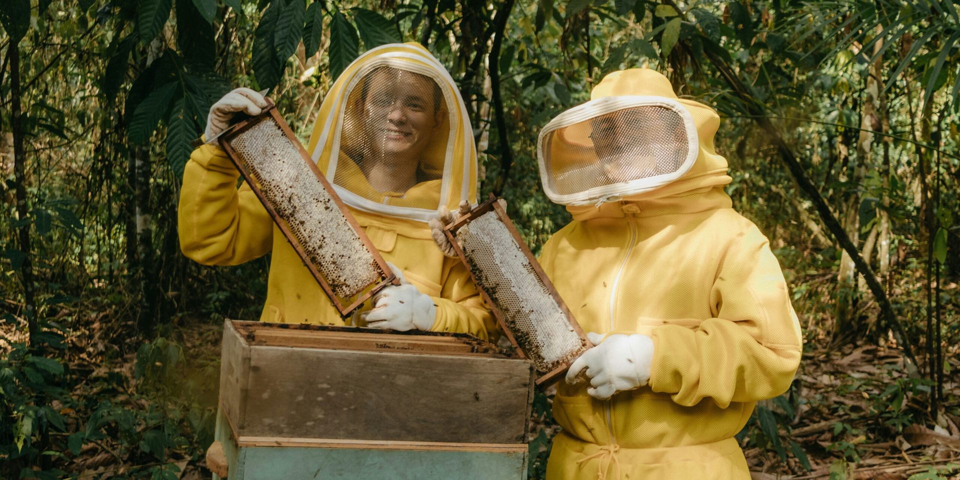 Urban Beekeeping Celebrated on National Urban Beekeeping Day