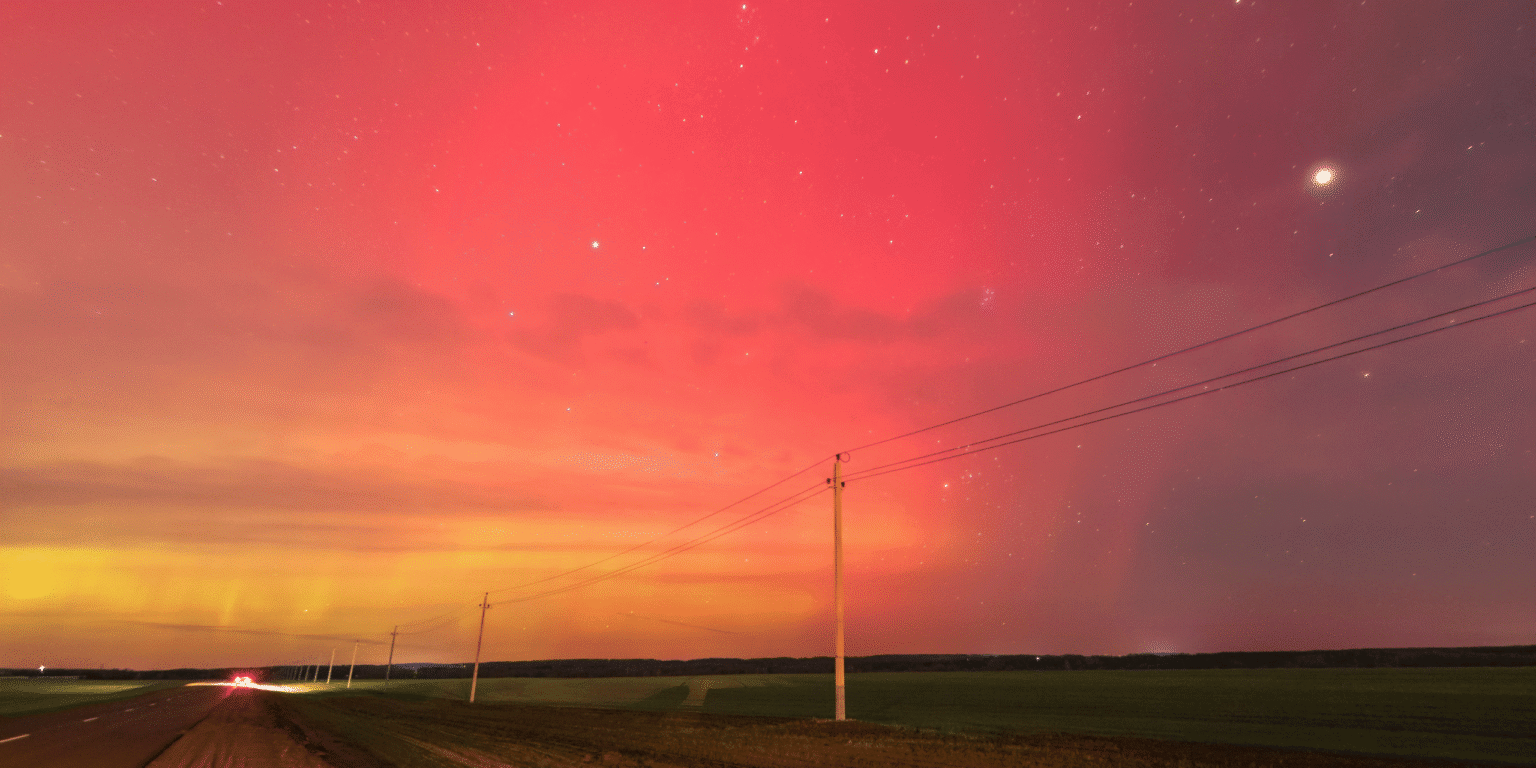 Header image (3)