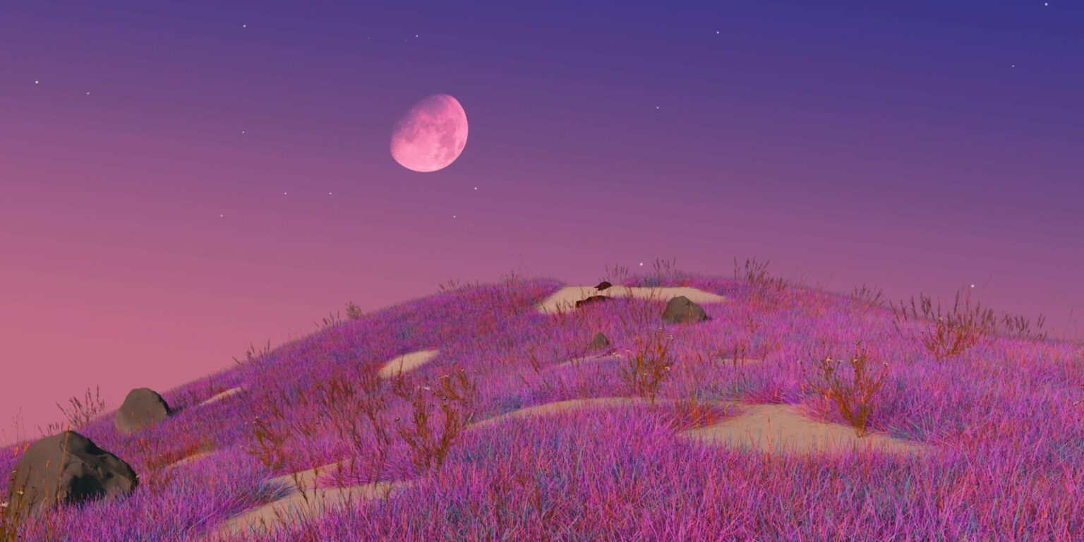 Header image (37)