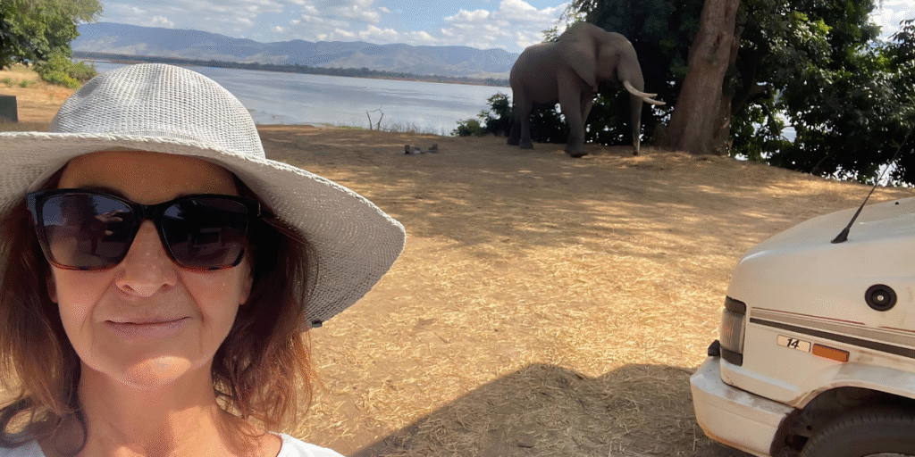 A woman poses with a hat and sunglasses, while an elephant stands in the background near a river.