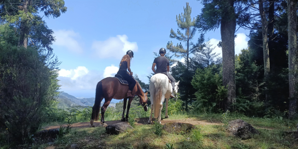 Riding with Heart: How a Madeira Equestrian Retreat Puts Animals First Two people horseback riding through a lush green forest trail with a scenic mountain view in the background, capturing a peaceful outdoor adventure.