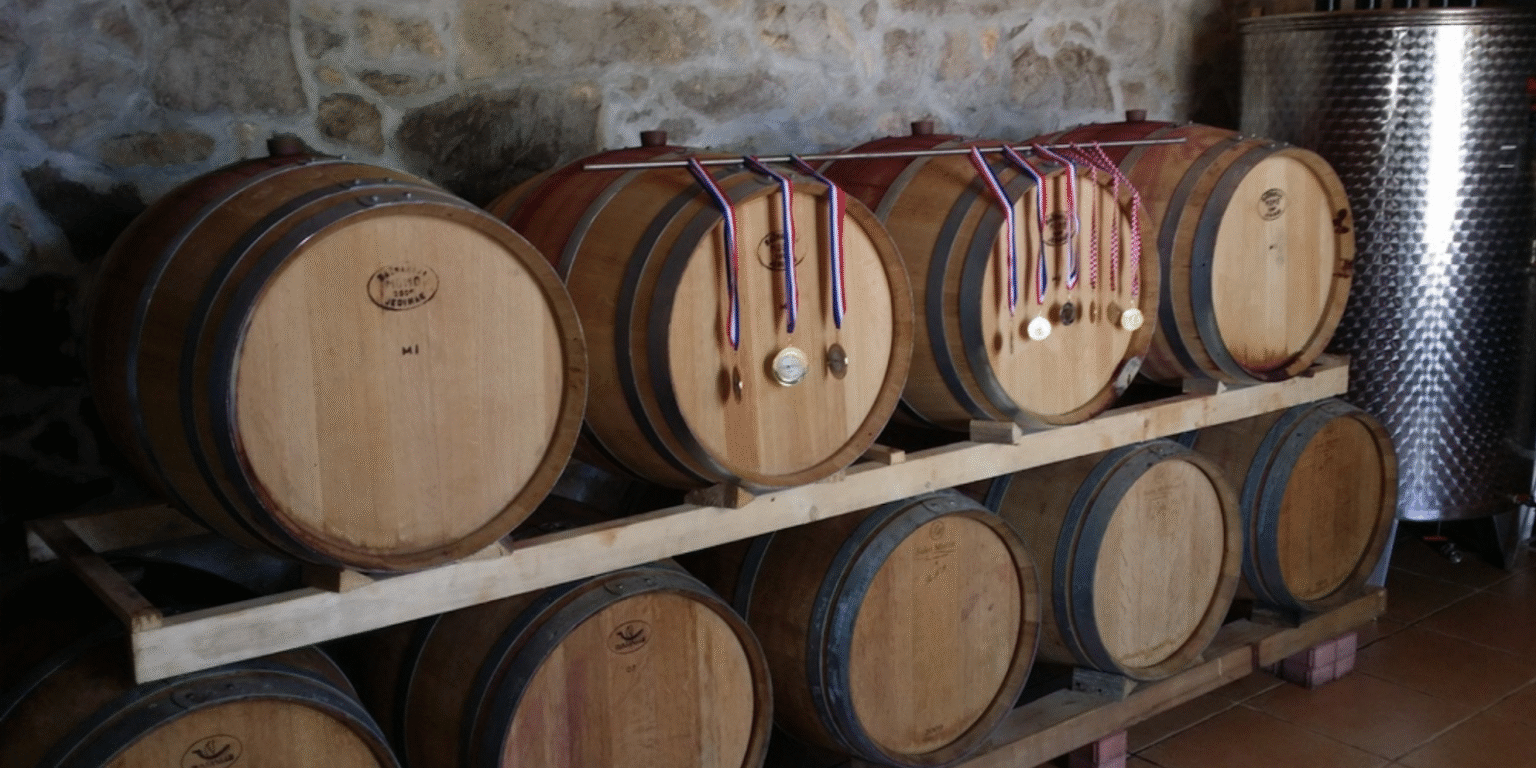 Wooden wine barrels with medals hanging, representing the proud tradition and craftsmanship of Dalmatia’s boutique wineries.