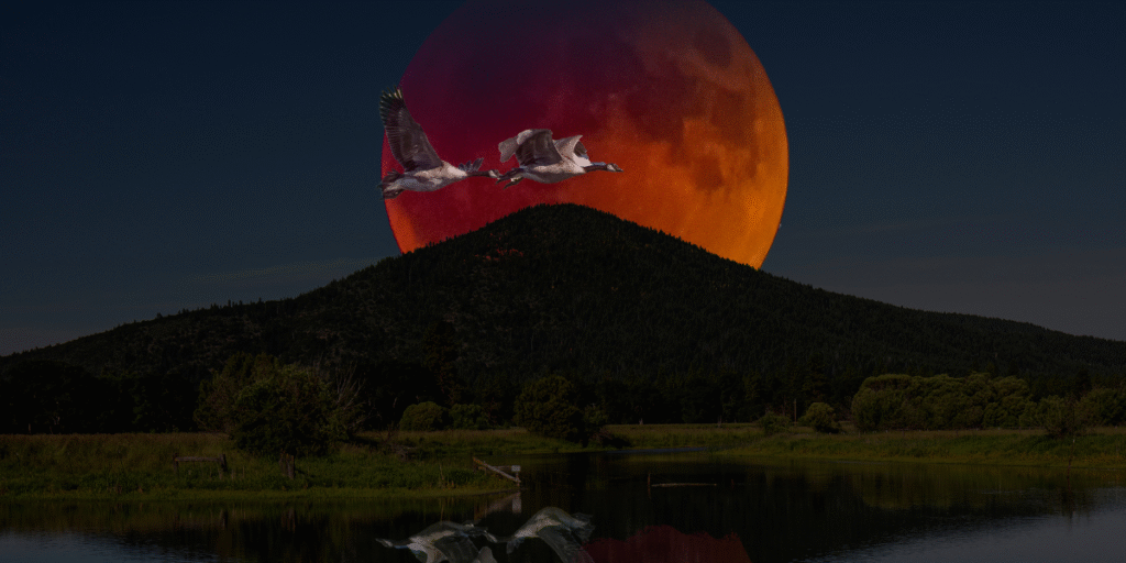 Rare “Blood Moon” Lunar Eclipse Captivates Skywatchers Across the United States