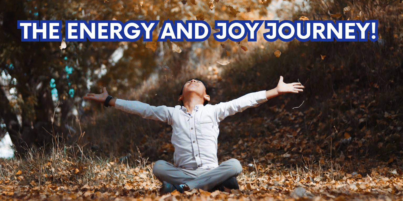 The Energy and Joy Journey: Restore Strength, Vitality & Pure Happiness Ava Joy leading holistic wellness program, empowering women with energy coaching, lifestyle guidance, and joyful health practices for balanced, vibrant living.